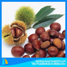 2014 New natural fresh chestnut